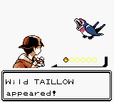 Unnamed Pokemon Hack